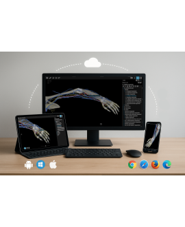 Miembros (web)