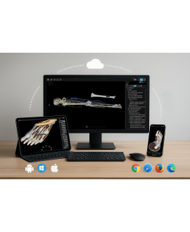 Miembros (web)