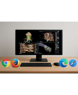 Combo Cuerpo Humano (Web)