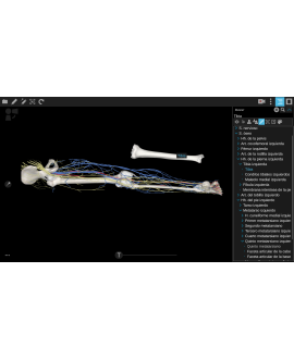 3dissect Miembros para iOS