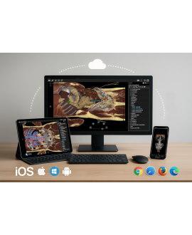 3dissect Abdomen para iOS