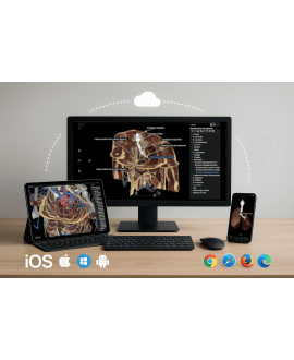 3dissect Torax para iOS