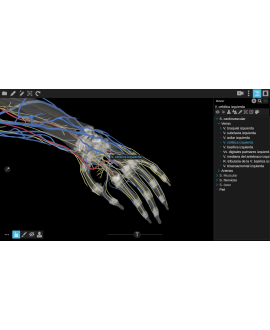 3dissect Miembros para Mac