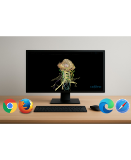 3dissect Cabeza y Cuello...