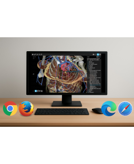 3dissect Torax  versión web...