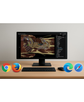 3dissect Abdomen  versión...