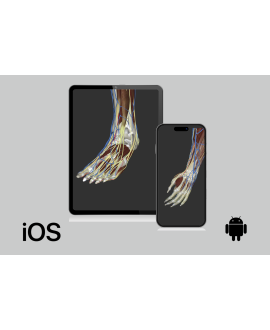 3dissect Miembros para Android