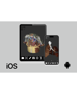 3dissect Torax para iOS