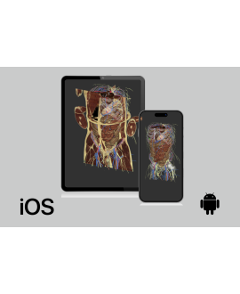 3dissect Abdomen para iOS