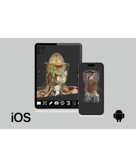 3dissect Combo 1 (todos los...