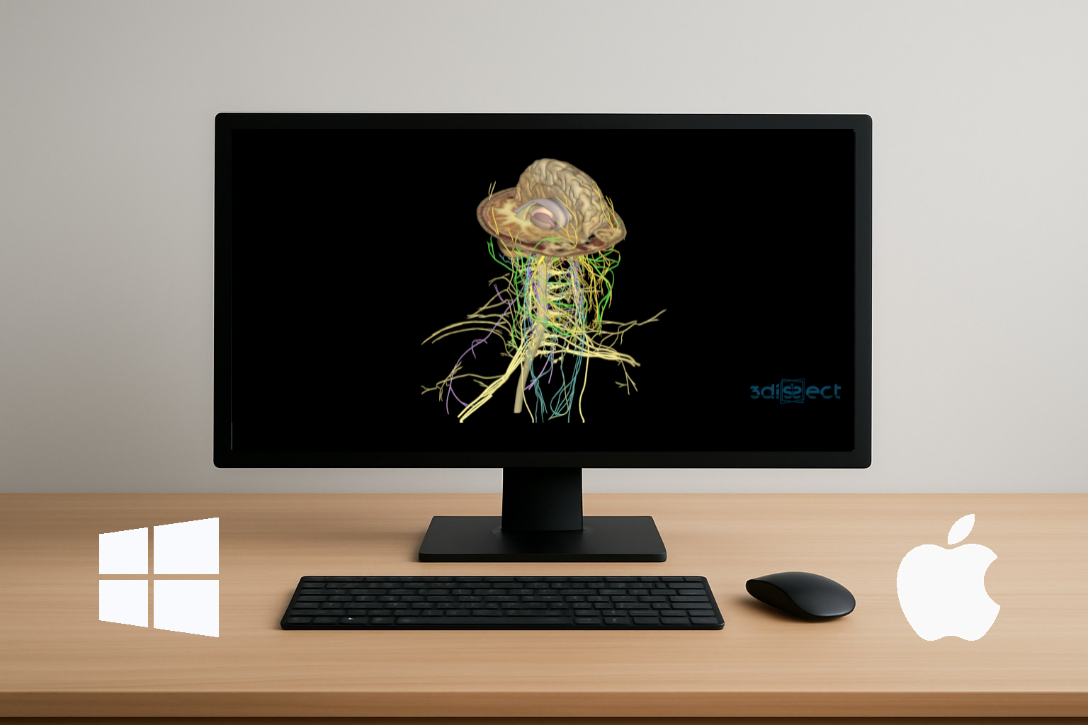 3dissectCabezaCuello