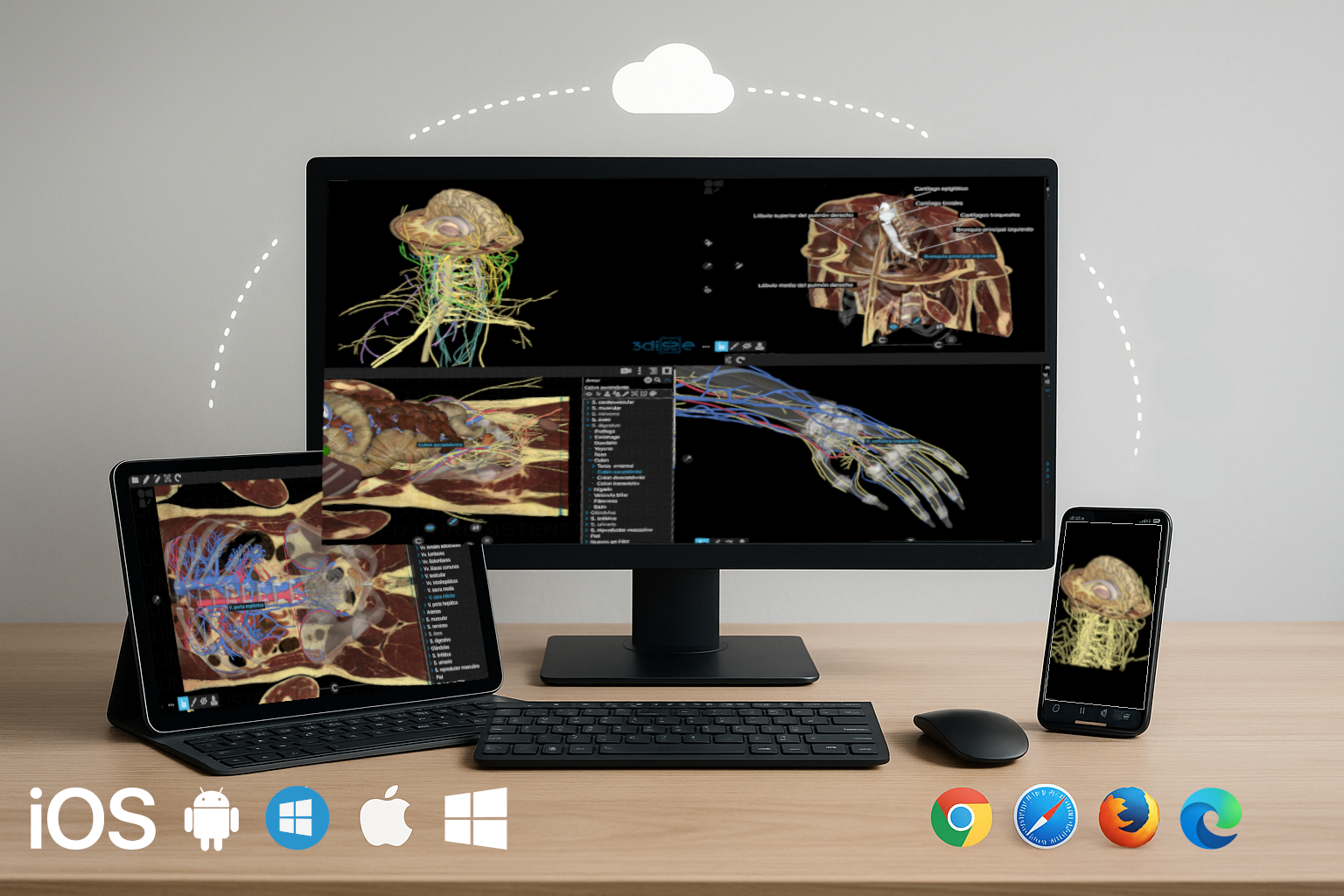 3dissectComboHumano