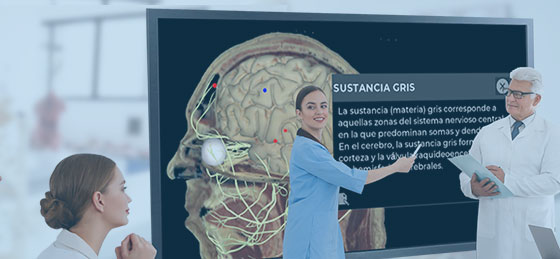 Imagen Edición de descripciones de órganos